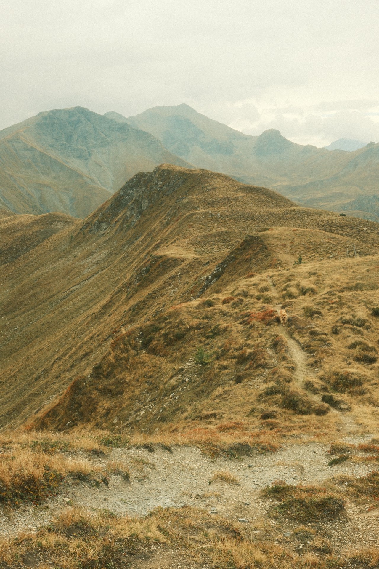 ⛰️ Hiking onto the Muttner Horn