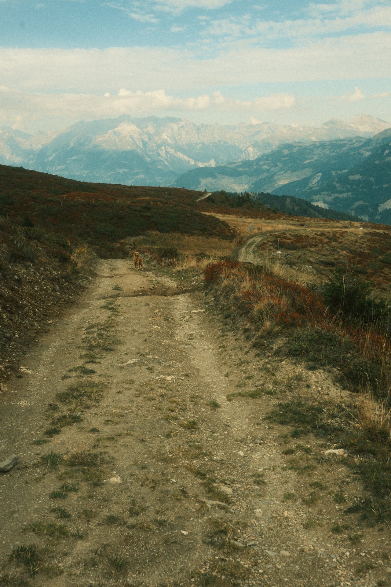 ⛰️ Hiking onto the Muttner Horn