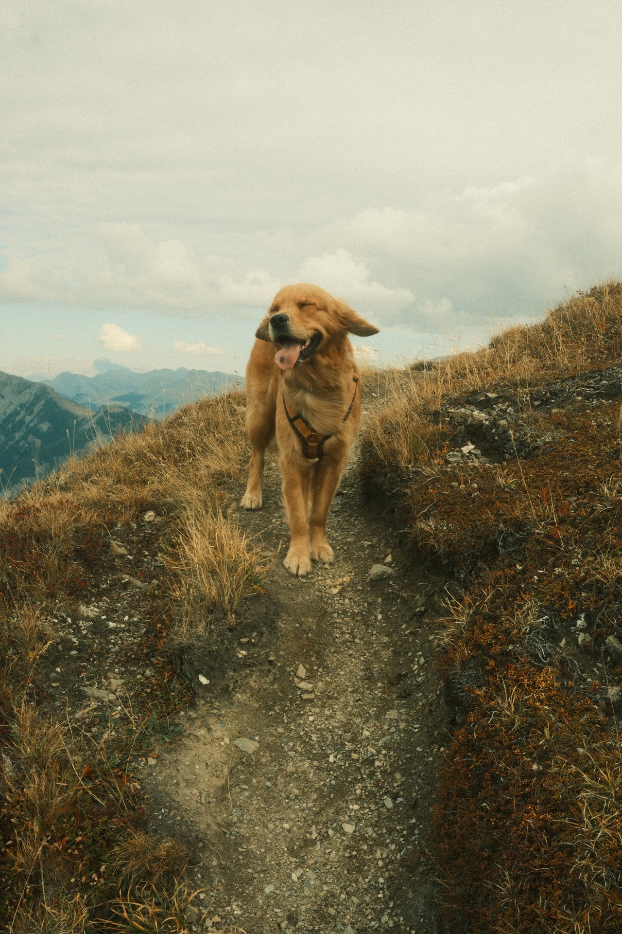 ⛰️ Hiking onto the Muttner Horn