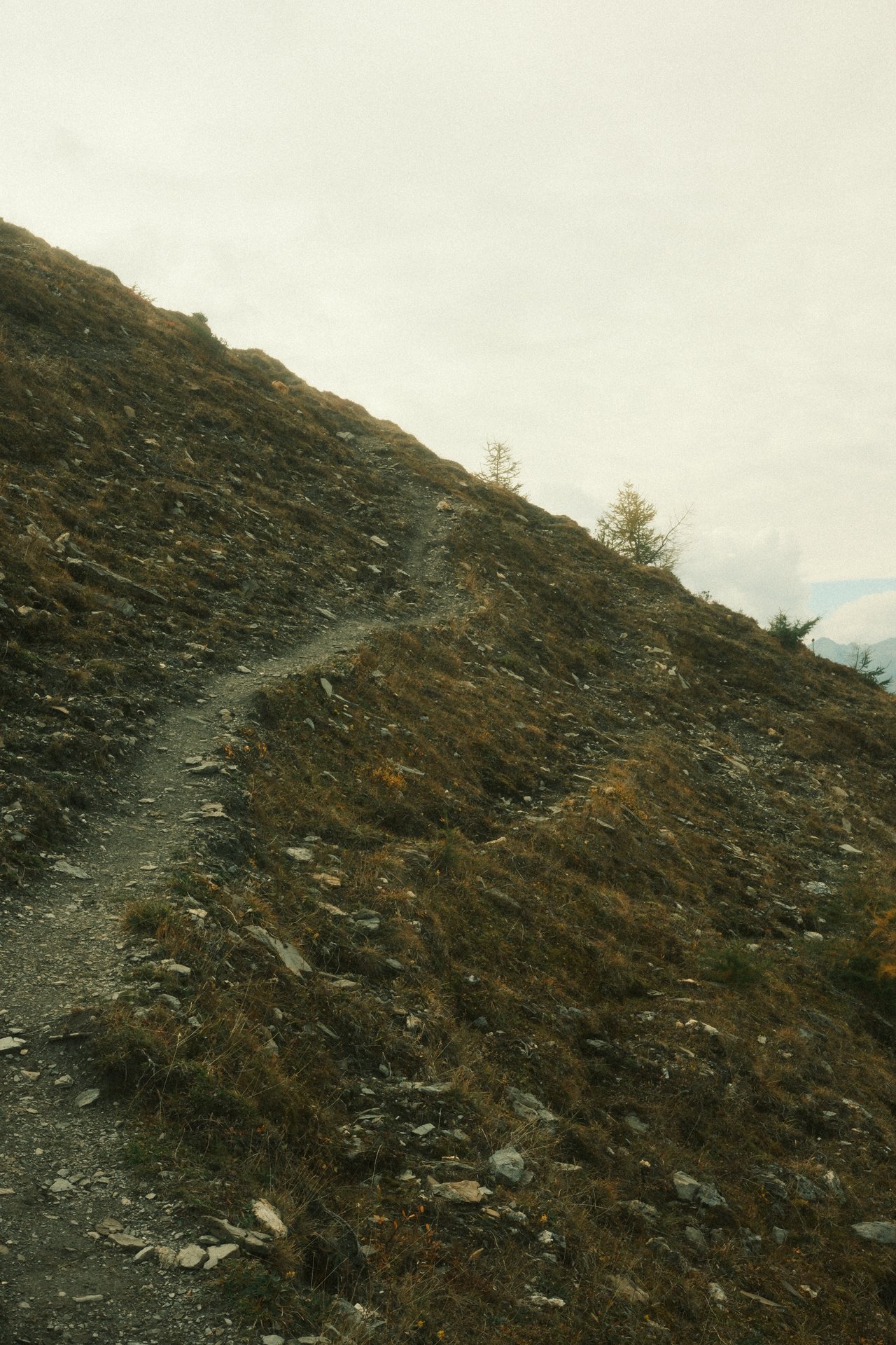 ⛰️ Hiking onto the Muttner Horn