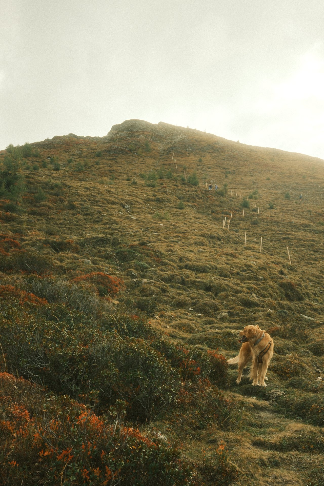 ⛰️ Hiking onto the Muttner Horn