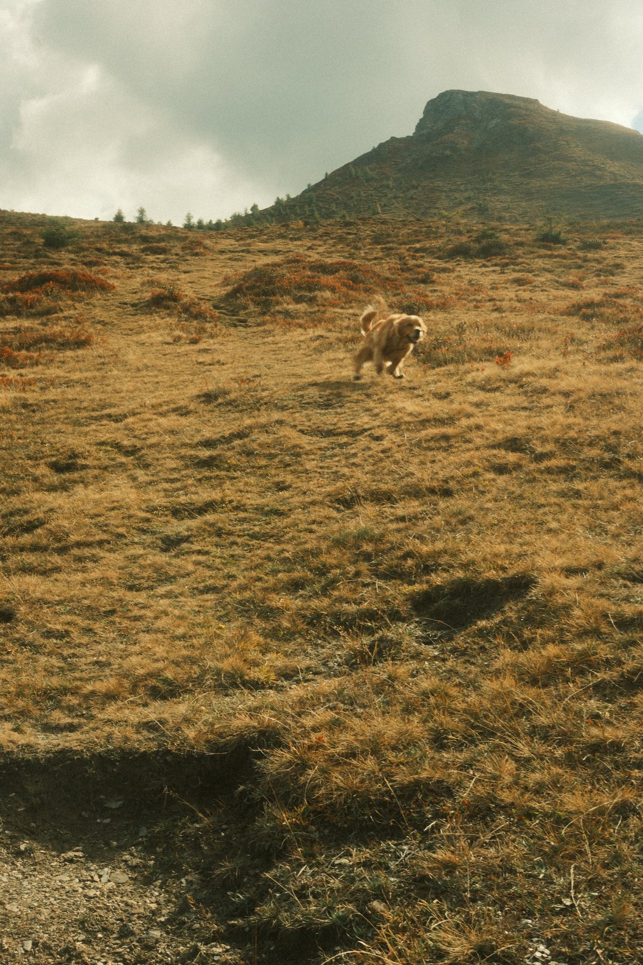 ⛰️ Hiking onto the Muttner Horn