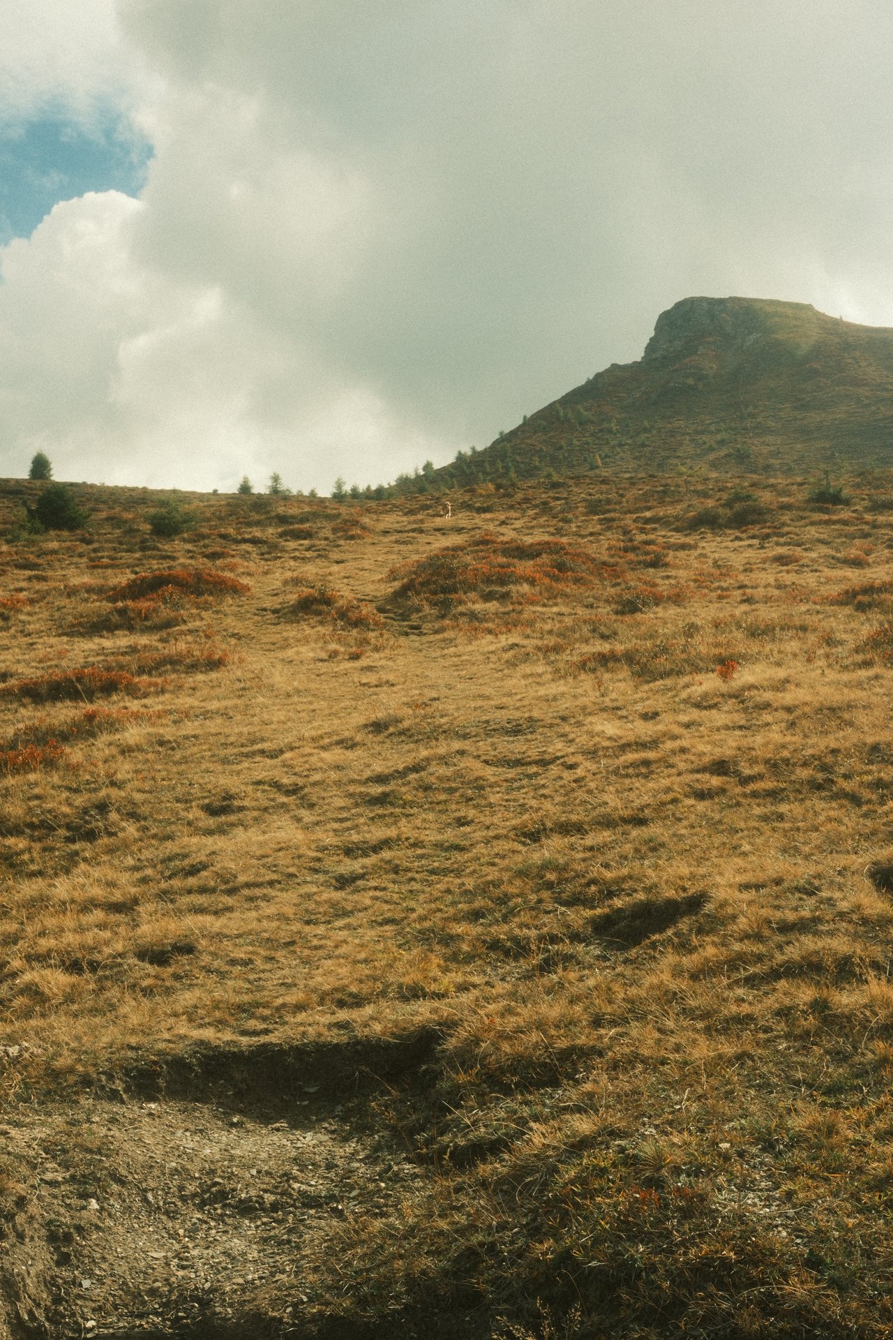 ⛰️ Hiking onto the Muttner Horn