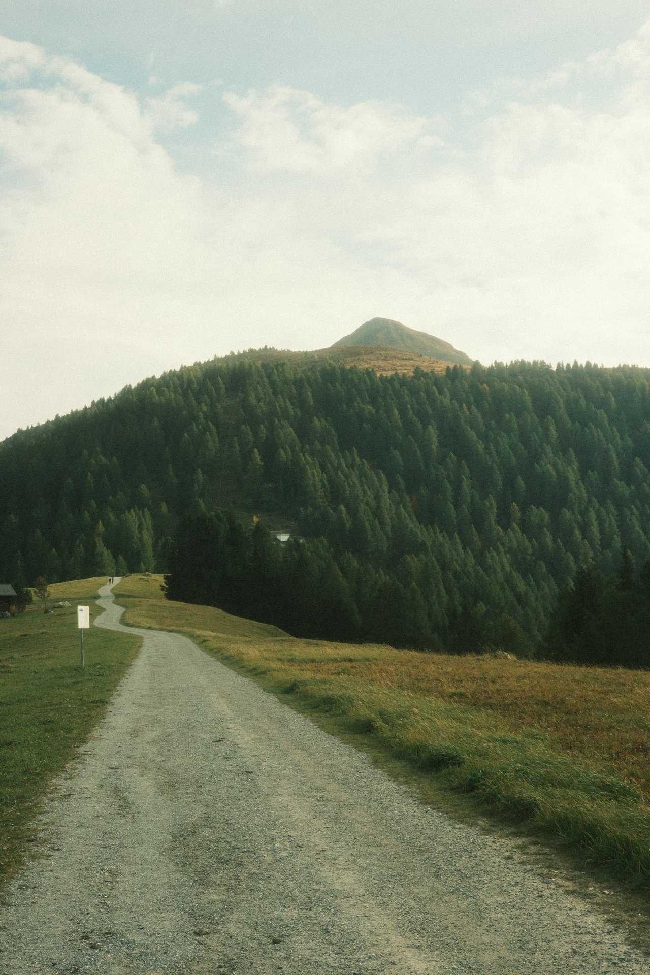 ⛰️ Hiking onto the Muttner Horn